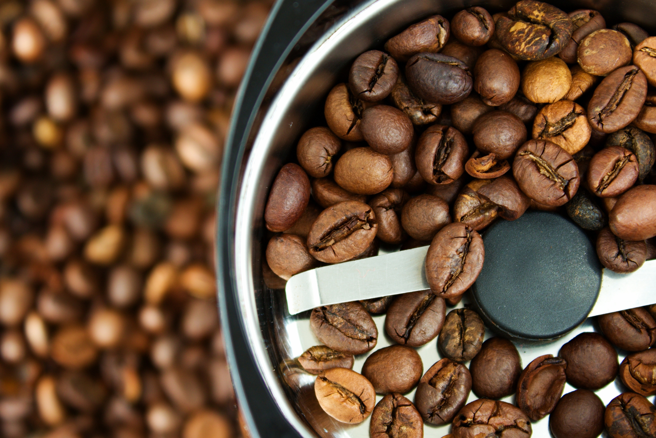 Close-up of coffee beans inside a small electric grinder used for grinding spices and nuts in small kitchen batches.